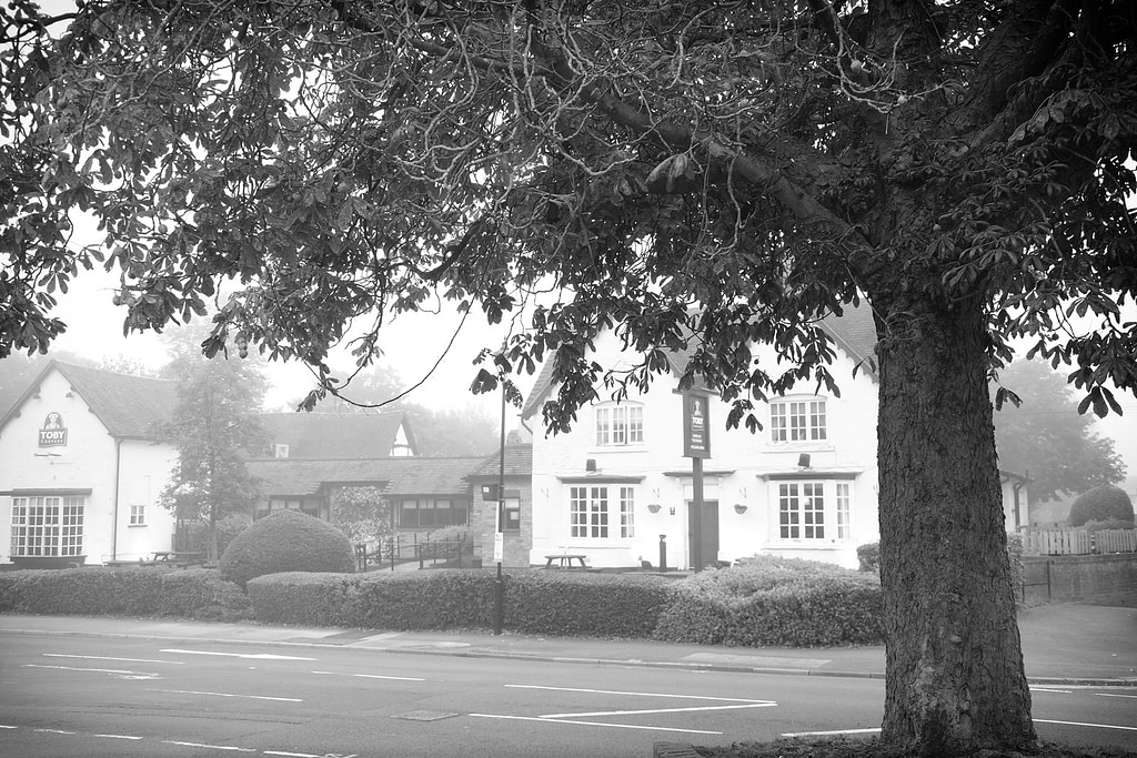 Fog in the village