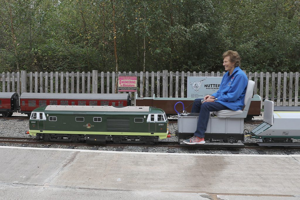 Echills Wood Railway