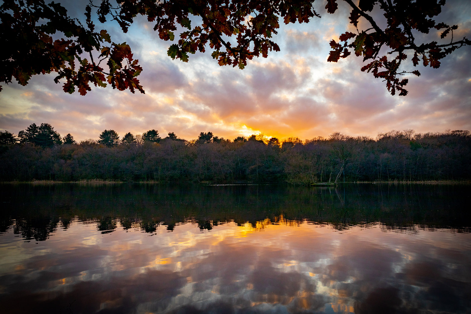 Watching the sun go down by Bracebridge pool, Sutton Park » Damien