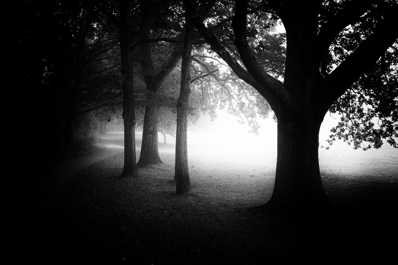 Fog Knowle Park