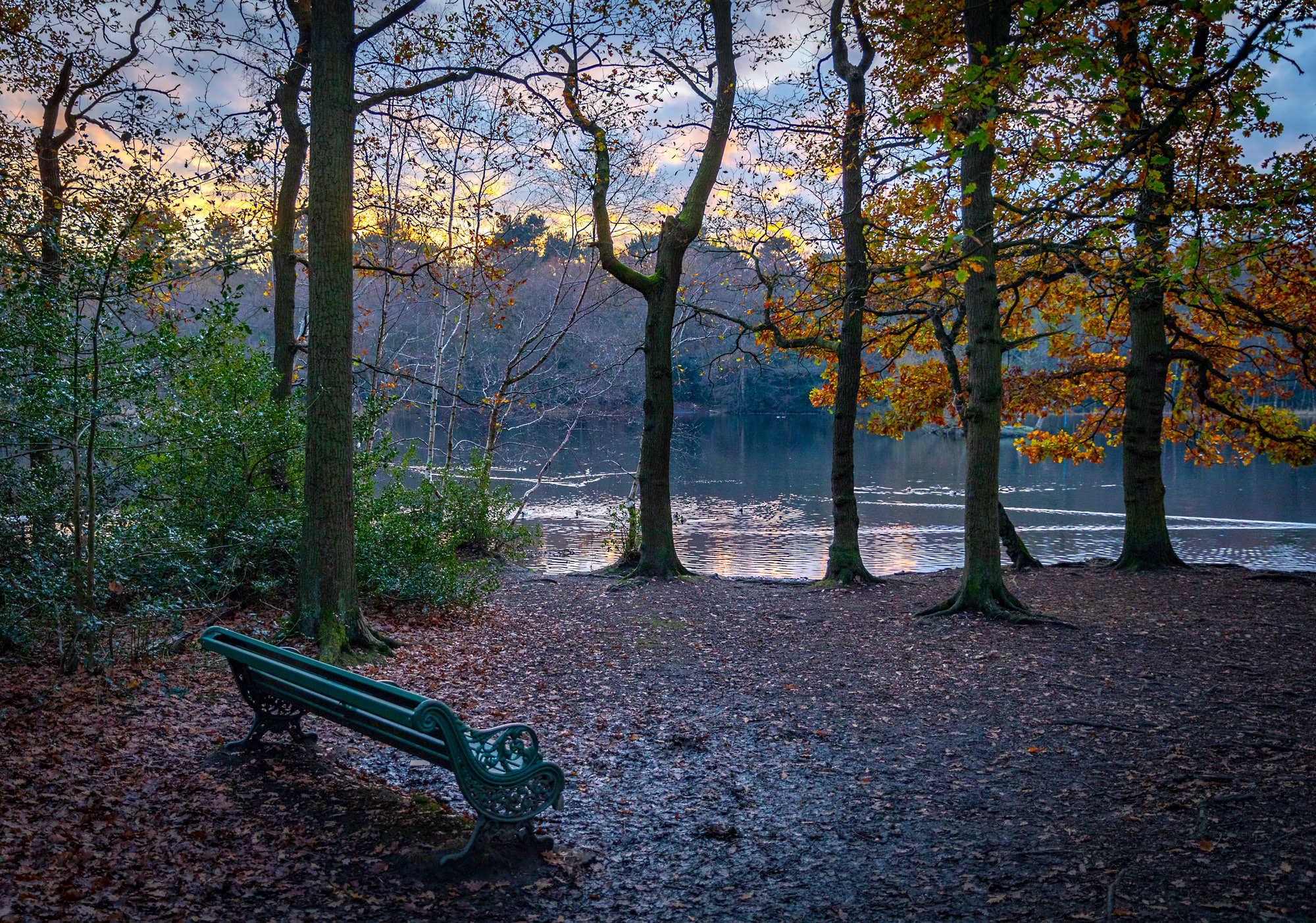 Watching the sun go down by Bracebridge pool, Sutton Park » Damien